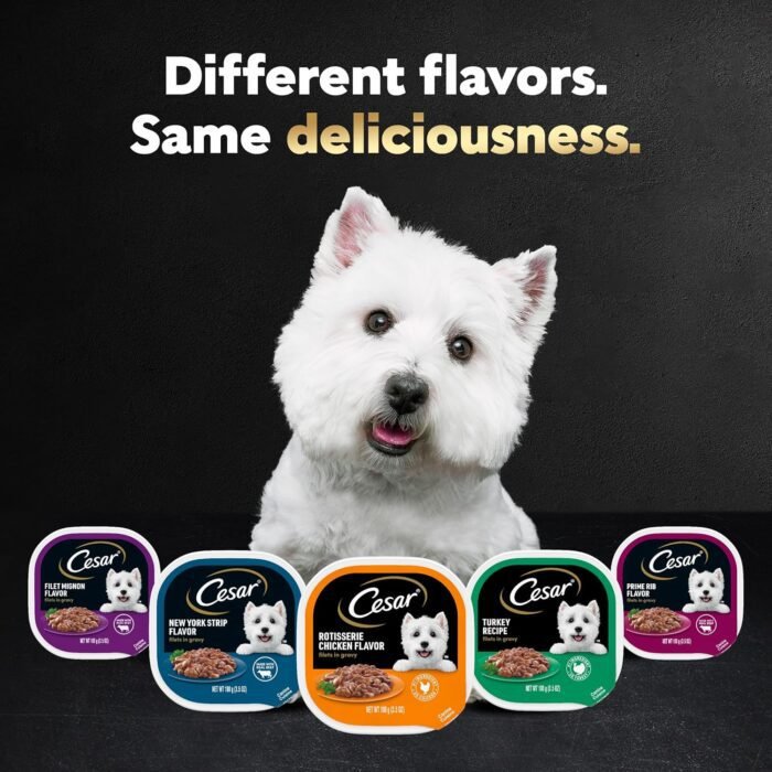 CESAR Filets in Gravy Adult Wet Dog Food, Filet Mignon Flavor, 3.5 oz. Easy Peel Trays, Pack of 24