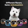 CESAR Adult Wet Dog Food Classic Loaf in Sauce Grilled Chicken Flavor, 3.5 oz. Easy Peel Trays (24 Count, Pack of 1) - Image 8