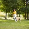 Rachael Ray Nutrish Zero Grain Dry Dog Food, Salmon & Sweet Potato Recipe, 11.5 Pounds - Image 7