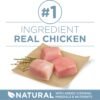 Purina ONE Plus Joint Health Formula Natural With Added Vitamins, Minerals and Nutrients Dry Dog Food - 16.5 lb. Bag - Image 2