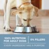 Purina ONE Plus Joint Health Formula Natural With Added Vitamins, Minerals and Nutrients Dry Dog Food - 16.5 lb. Bag - Image 7