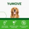 Hip and Joint Supplement for Dogs with Glucosamine, Green Lipped Mussel, Chondroitin, MSM, Omega 3 & Hyaluronic Acid - Joint Support Supplement - for Adult Dogs 300 Tablets - Image 4