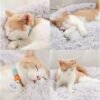 Cat Beds for Indoor Cats, 20 Inch Dog Bed for Small Melium Large Dogs, Washable-Round Pet Bed for Puppy and Kitten with Slip-Resistant Bottom - Image 4