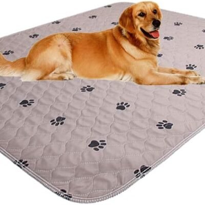 SincoPet Washable Dog Pee Pads with Puppy Grooming Gloves,Puppy Pads,Reusable Pet Training Pads,Large ,Waterproof Pet Pads for Dog Bed Mat,Super Absorbing Whelping Pads,41x41 Inch (Pack of 2)