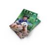 Tina: The incredible true story of one dog who won the hearts of millions - Image 3