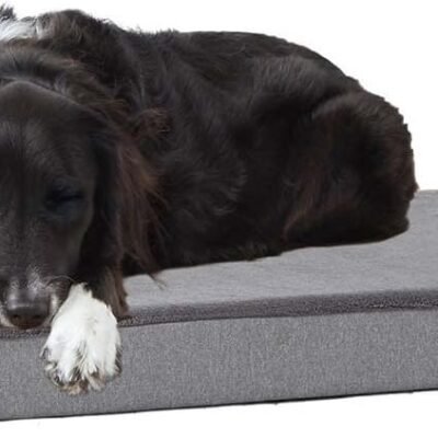 Barkbox Orthopedic Dog Bed with Memory Foam, Premium Comfort for Dogs and Puppies, Large Sized Dog Bed for Joint Relief and Restful Sleep, Durable and Easy to Clean - Grey, Large