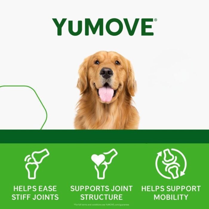 Hip and Joint Supplement for Dogs with Glucosamine, Chondroitin, MSM, Omega 3, Hyaluronic Acid, Green Lipped Mussel, & Fish Oil for Dogs - Joint Support Supplement - Senior Dogs, 240ct Tablets
