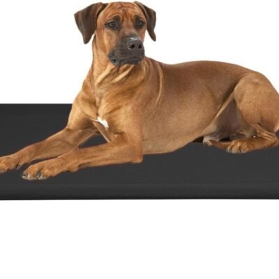 Veehoo Cooling Elevated Dog Bed, Portable Raised Pet Cot with Washable & Breathable Mesh, No-Slip Feet Durable Dog Cots Bed for Indoor & Outdoor Use, Large, CWC1803-L Black