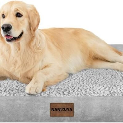 Large Dog Bed Orthopedic Washable: Beds Bolster XL Bed Large Big Dogs Memory Foam Couch Sofa Waterproof with Removable Cover