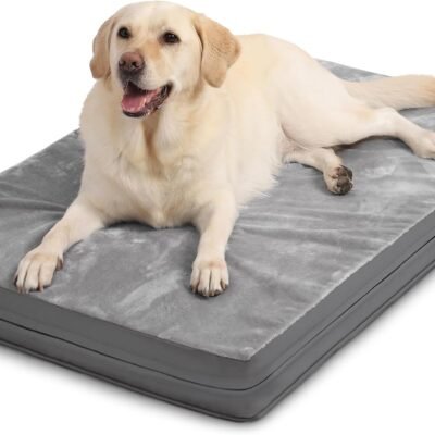 Waterproof Dog Beds Large Medium Sized Dog, Orthopedic Washable Crate Pad 35 inch, Egg Crate Foam Pet Bed with Removable Cover Reversible, Durable Anti-Slip Kennel Bed 35"x22", Gray