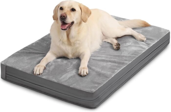 Waterproof Dog Beds Large Medium Sized Dog, Orthopedic Washable Crate Pad 35 inch, Egg Crate Foam Pet Bed with Removable Cover Reversible, Durable Anti-Slip Kennel Bed 35"x22", Gray