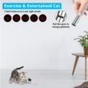 TBTeek Cat Toy for Indoor Cats, 3 Light Modes & 5 Adjustable Patterns, USB Rechargeable Interactive Kitten Pet Dog Toy, Portable Interactive Cat Toy Fun Chase Play Exercise - Image 4