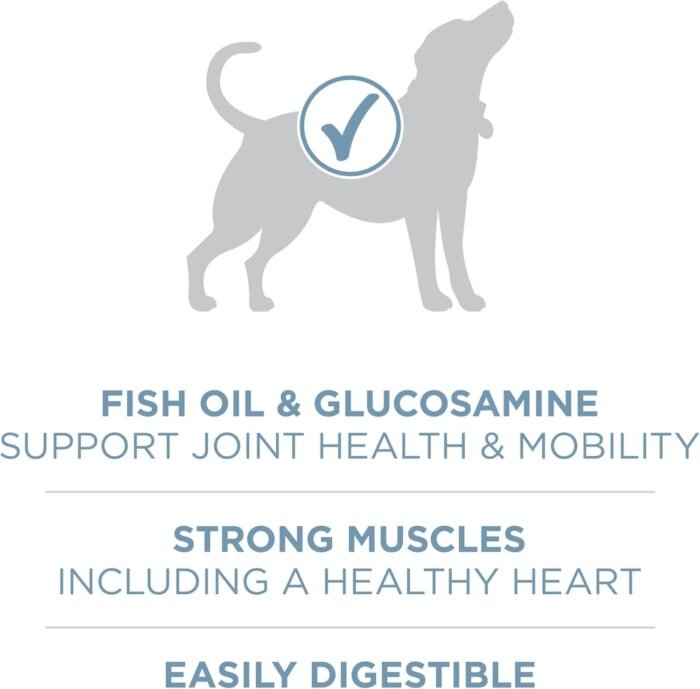 Purina ONE Plus Joint Health Formula Natural With Added Vitamins, Minerals and Nutrients Dry Dog Food - 31.1 lb. Bag