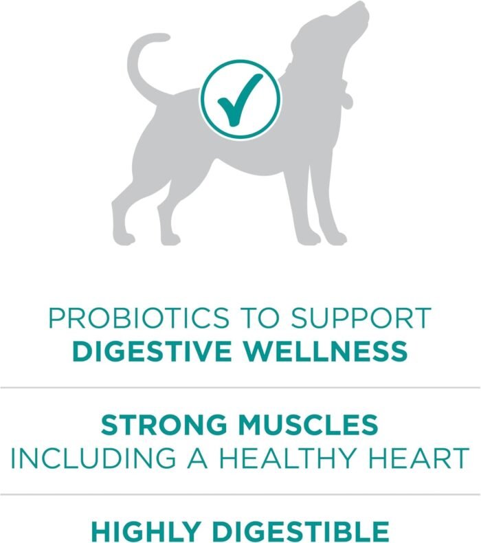 Purina One Plus Digestive Health Formula Dry Dog Food Natural with Added Vitamins, Minerals and Nutrients - 31.1 Lb. Bag
