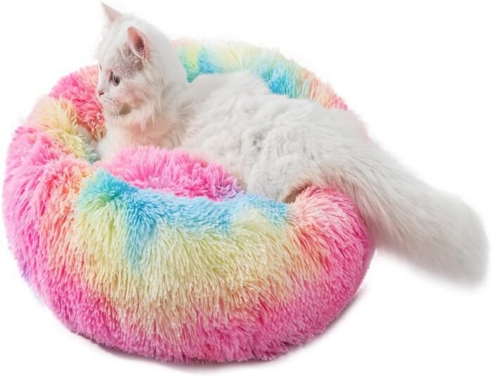 Small Dog Bed Pet Bed Cat Bed Donut Dog Bed Puppy Bed Cat Donut Kitten Beds Dog Sofa Dog Sofa Bed Small Cat Bed Pet Sofa Cute Dog Bed Donut Cat Bed Pet Bed Cat Small Pet Bed for 3Kg Pet