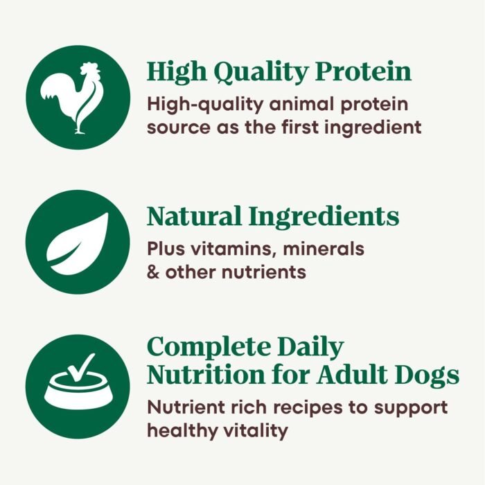 Nutro Natural Choice Cuts In Gravy Wet Dog Food 4 Flavors Variety Pack, 3.5 oz. Trays (36 Count, Pack of 1)