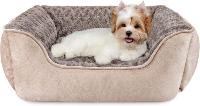 JOEJOY Rectangle Dog Bed for Large Medium Small Dogs Machine JOEJOY Rectangle Dog Bed for Large Medium Small Dogs Machine Washable Sleeping Sofa Non-Slip Bottom Breathable Soft Puppy Bed Durable Orthopedic Calming Pet Cuddler, Multiple Size, Beige