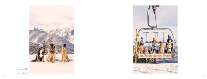 Gray Malin: Dogs: Photographs