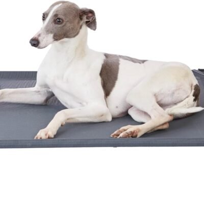 pettycare Elevated Outdoor Dog Bed - Raised Cot for Large Dogs, Heavy Duty Pet Cots Waterproof, Cooling, Washable Breathable Teslin Mesh, Durable, Non Slip, 42 Inches, Grey