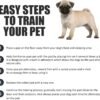 BV Puppy Pads Leak-Proof 100 Count 22"x 22" | Pee Pads for Dogs Quick Absorb 6-Layer- Dog Pee Pads- Dog Pads 100 Pack- Potty Pads for Dogs- Puppy Pee Pads, Pee Pad Training Pads for Dogs, Pet Pee Pads - Image 6