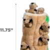 Outward Hound Hide A Squirrel Plush Dog Toy Puzzle, XL - Image 7