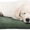 Water-Resistant Dog Bed - Orthopedic Dog Bed with Removable Washable Cover, Non-Slip Bottom, and Egg Crate Style Foam - 25.5in Small Pet Bed - Puppy Essentials by PETMAKER (Green)