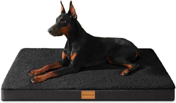 Patas Lague Orthopedic Dog Bed for Large Dogs, Soft Comfortable Waterproof Egg Crate Foam Medium Pet Beds Mat with Removable Washable Cover, 36''X24'' Black