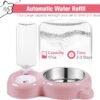 Dog Bowls, Cat Food and Water Bowl Set with Water Dispenser and Stainless Steel Bowl for Cats and Small Dogs - Pink