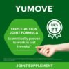 Hip and Joint Supplement - 120 Tablets for Dogs with Glucosamine, Chondroitin, MSM, Omega 3, Hyaluronic Acid, Green Lipped Mussel, & Fish Oil for Dogs - Joint Support Supplement - Senior Dogs - Image 7