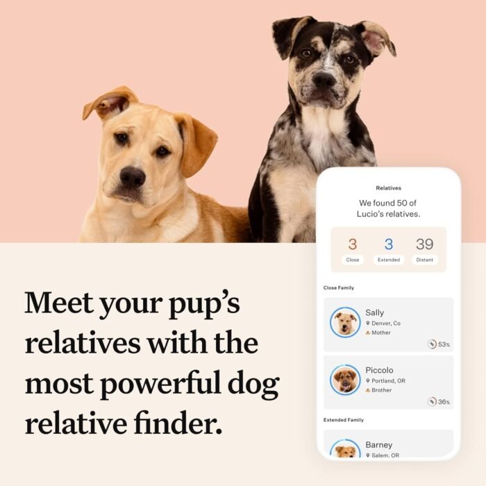 Wisdom Health Panel Premium Dog DNA Kit: Most Comprehensive with 265+ Health Tests, Identify 365+ Dog Breeds, 50+ Traits, Relatives, Ancestry, Genetic Diversity - Pack of 2