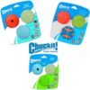 Chuckit Gen 1 Fetch Pack Dog Balls - Interactive Dog Toys, High-Bounce Fetch Ball, Floating Ultra and Rugged Balls, Durable - Size Medium, 2.5-inch Diameter, Set of 3 - Image 7