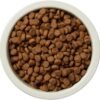 Amazon Brand – Wag Dry Dog Food, Beef and Brown Rice, 30 lb Bag (Pack of 1) - Image 5