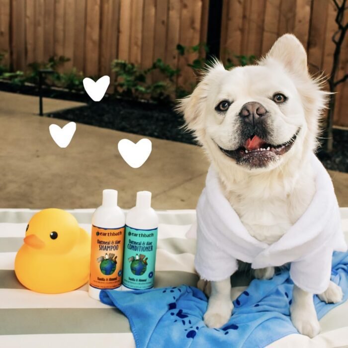 earthbath Oatmeal & Aloe Dog Shampoo and Conditioner - Oatmeal Shampoo for Dogs, Anti Itch Dry Skin Relief Pet Wash, Medicated Dog Shampoo & Conditioner, Hypoallergenic, Tearless - 16 Oz (1 Set)