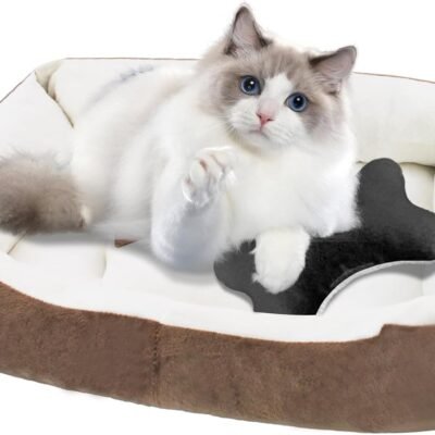 Dog Beds for Small Dogs,Rectangle Cat Beds for Indoor Cats,20"x15"x6" Washable Pet Bed with Side and Anti-Slip Bottom for Medium Dog,Kitten(Beige)