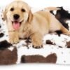 Dog Bed Crate Pad Pet Cushion Crate Mat Puppy Bed for Small Dogs Soft Fluffy Kennel Pad for Dog Crate, Anti-Slip Comfy Small Dog Bed