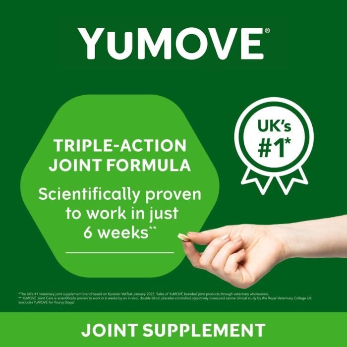 Hip and Joint Supplement for Dogs with Glucosamine, Chondroitin, MSM, Omega 3, Hyaluronic Acid, Green Lipped Mussel, & Fish Oil for Dogs - Joint Support Supplement - Senior Dogs, 240ct Tablets