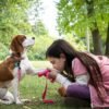 A Dog's Journey / A Dog's Purpose 2-Movie Collection [DVD] - Image 3