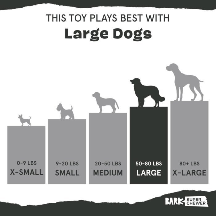 Barkbox Super Chewer Tough Dog Chew Toys for Aggressive Chewers, Dental Stimulating (Turkey - Large)