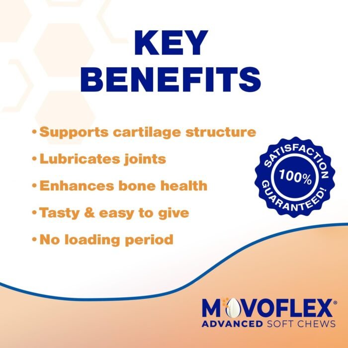 Advanced Soft Chews Hip and Joint Support Supplement for Medium Dogs - Movoflex 60 Count by Virbac
