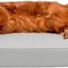 Furhaven Orthopedic Dog Bed for Large Dogs w/ Removable Bolsters & Washable Cover, For Dogs Up to 95 lbs - Quilted Sofa - Silver Gray, Jumbo/XL