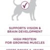 Purina ONE Plus Healthy Puppy Formula High Protein Natural Dry Puppy Food with added vitamins, minerals and nutrients - 16.5 lb. Bag - Image 4