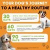Googipet Premium 10 in 1 Dog Vitamins Multivitamin Chewable with Probiotics for Gut Health, Dog Vitamins and Supplements w/Vitamin C & Glucosamine for Joint Support (Chicken & Vegetable Flavor) - Image 2