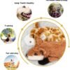Nocciola Dog Squeaky Toys, 5 PCS Crinkle Plush Dog Toys, No Stuffing Dog Toys for Small Medium Large Dogs, Stuffless Puppy Toys for Boredom - Image 7