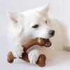 Benebone Medium 4-Pack Dog Chew Toys for Aggressive Chewers, Made in USA, 60lbs and Under - Image 2