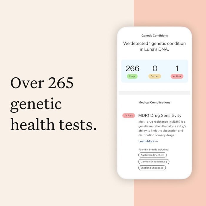 Wisdom Health Panel Premium Dog DNA Kit: Most Comprehensive with 265+ Health Tests, Identify 365+ Dog Breeds, 50+ Traits, Relatives, Ancestry, Genetic Diversity - Pack of 2
