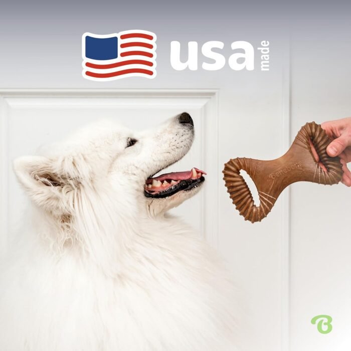Benebone Dental Durable Dog Chew Toy for Aggressive Chewers, Real Bacon, Made in USA, Medium