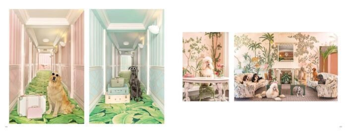 Gray Malin: Dogs: Photographs