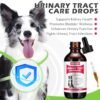 Dog UTI Treatment, Xsvseie Urinary Tract Drops for Dogs Natural Urinary Tract Infection Treatment Drops Natural Herbal Supplement with Cranberry Bladder Health for Dogs All Breeds