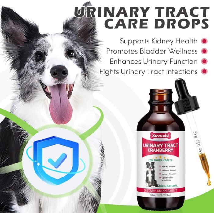 Dog UTI Treatment, Xsvseie Urinary Tract Drops for Dogs Natural Urinary Tract Infection Treatment Drops Natural Herbal Supplement with Cranberry Bladder Health for Dogs All Breeds