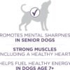 Purina ONE High Protein Dry Senior Dog Food Plus Vibrant Maturity Adult 7 Plus Formula - 31.1 lb. Bag - Image 4